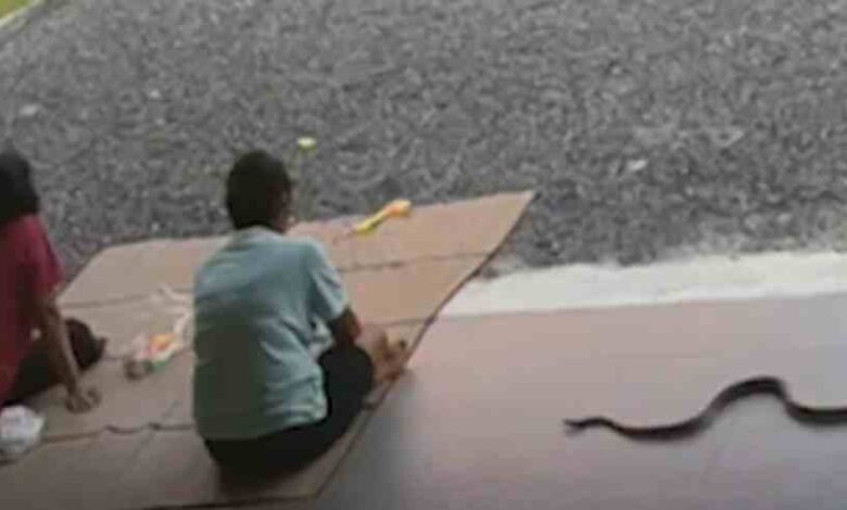 seeing the snake the couple started running do not watch the video for the faint of heart