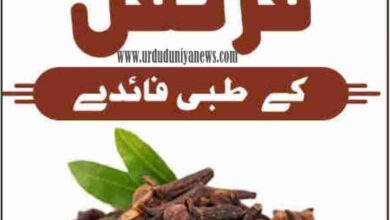 benefits of cloves