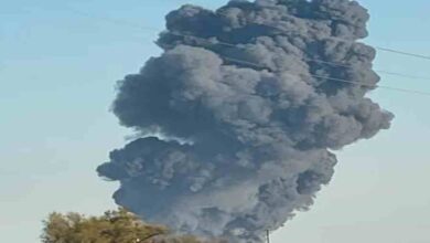 america fire at texas dairy farm 18000 cattle dead in a fire in a dairy farm warehouse