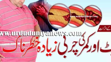 belly and waist fat are more dangerous