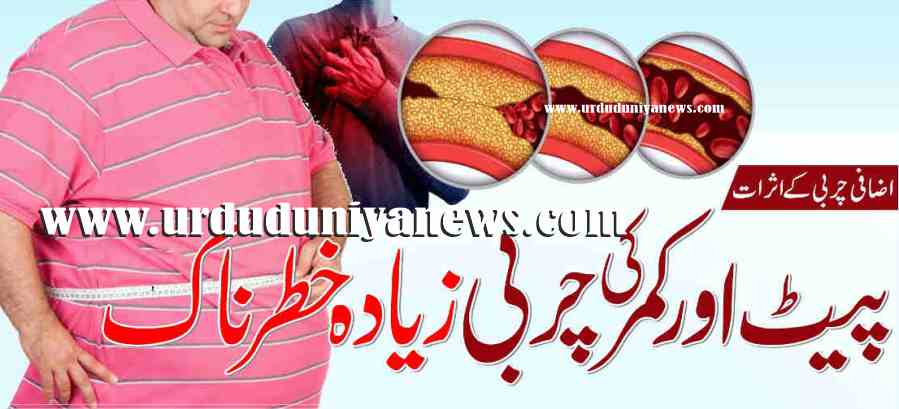 belly and waist fat are more dangerous