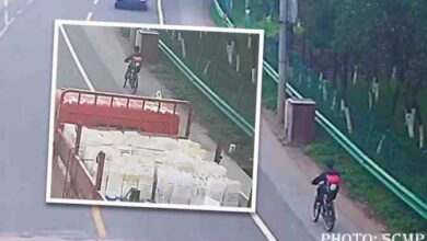 boy cycled 130km to reach his grandmother home
