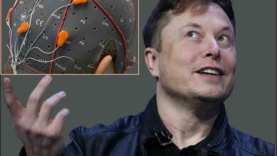 can elon musk computer chip read human minds