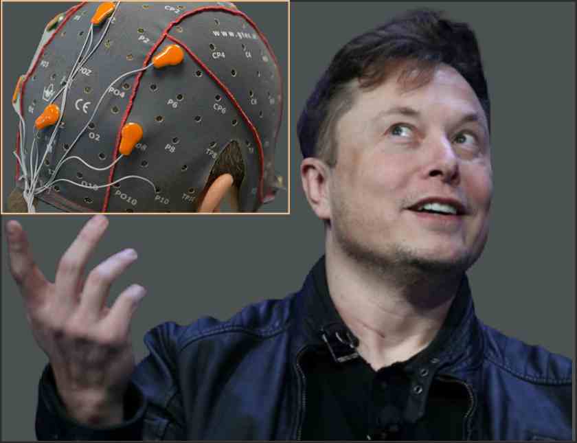 can elon musk computer chip read human minds