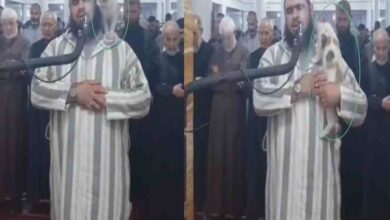 cat jumps on imam video