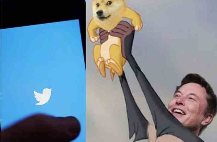 elon musk doge