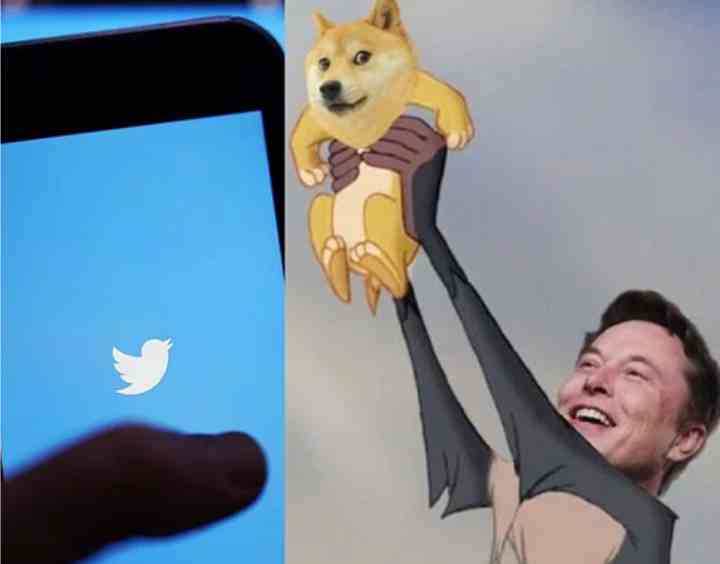 elon musk doge
