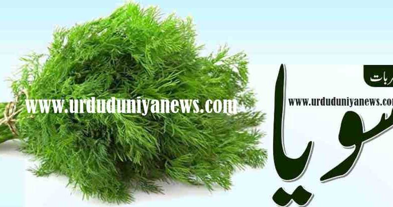 soya dill