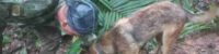 four missing children found alive in amazon two weeks after plane crash