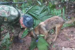 four missing children found alive in amazon two weeks after plane crash