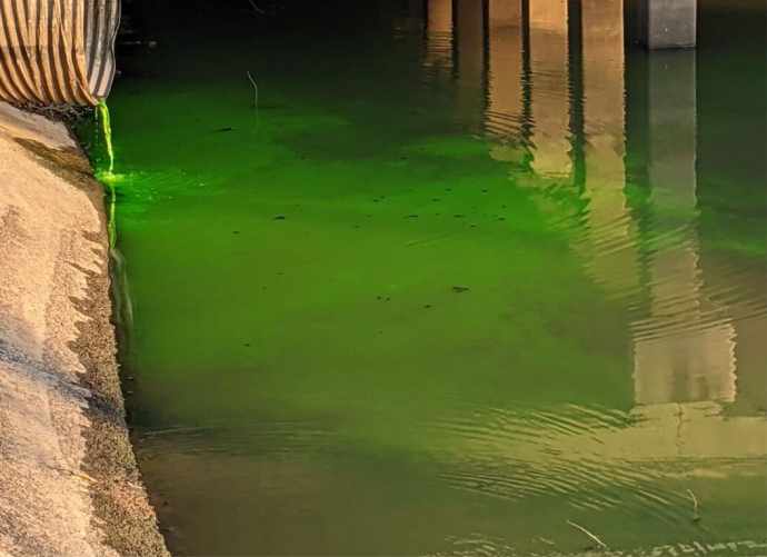 mysterious green liquid in the venous canal
