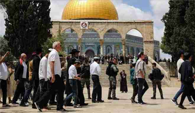 eight students were martyred and 44 schools were damaged in the zionist aggression on gaza
