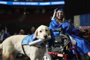seton hall university honorary degree to students service dog