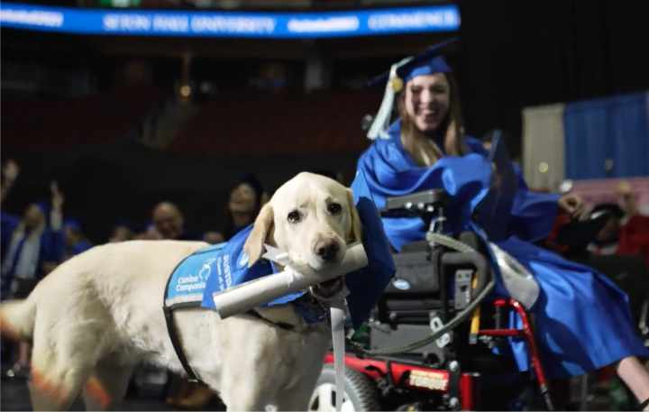 seton hall university honorary degree to students service dog