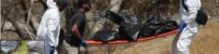 human body parts found in jalisco mexico