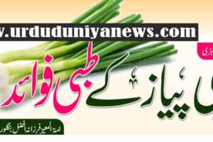 medicinal benefits of green onion