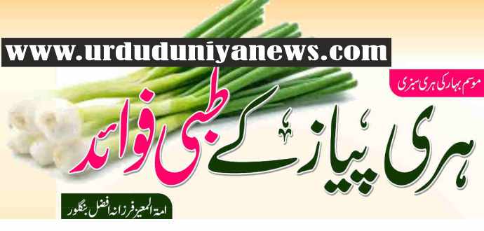 medicinal benefits of green onion