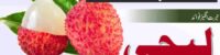 amazing benefits lychee