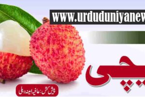 amazing benefits lychee