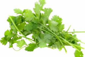 benefits of coriander