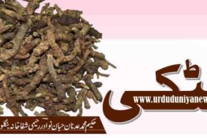 katuki picrorhiza kurroa benefits