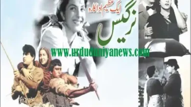 nargis bollywood life career love scandals