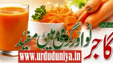 carrot benefits urdu