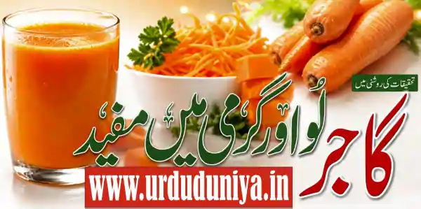 carrot benefits urdu