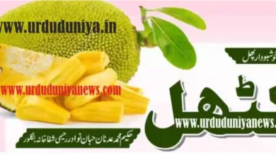 jackfruit health benefits