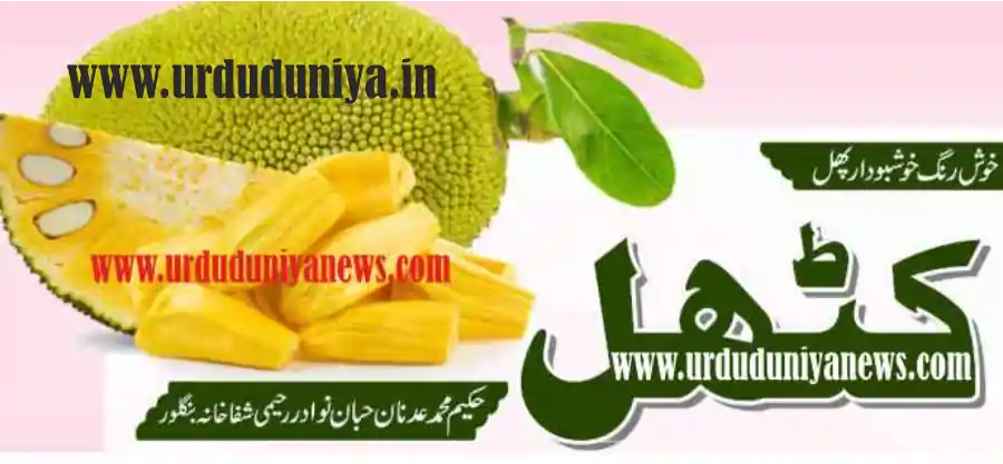 jackfruit health benefits