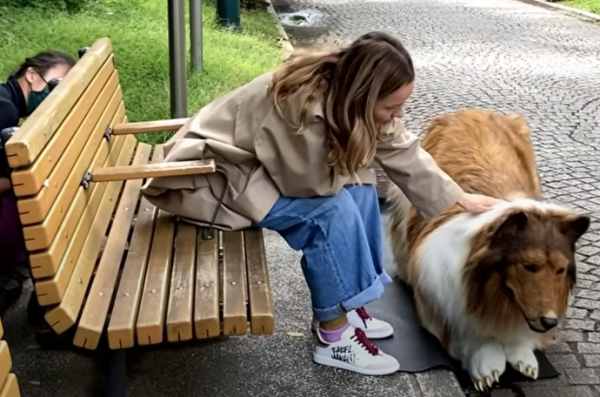 realistic dog costume for human