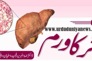 what is fatty liver