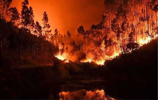 the fire in the forest was uncontrolled