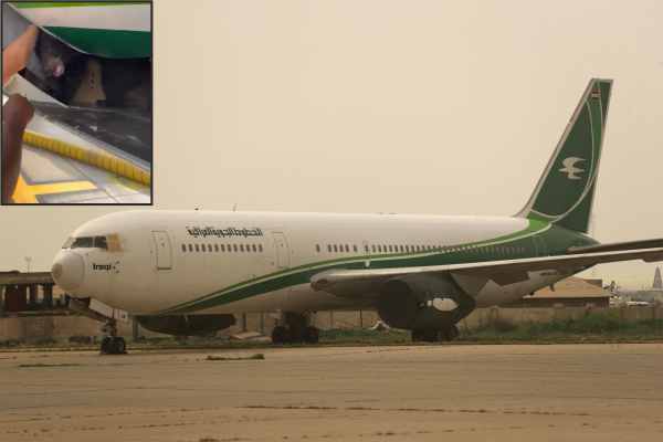 a bear escaped from an iraqi plane in dubai and the flight was delayed