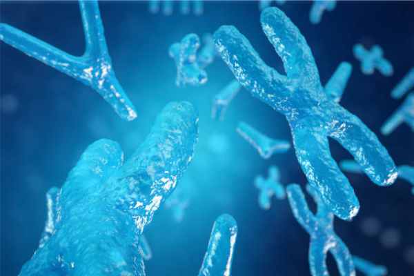 chromosome