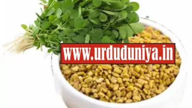 methi seeds benefits