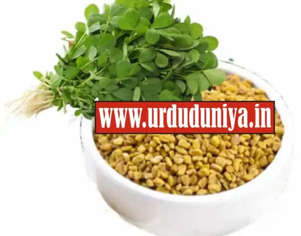 methi seeds benefits