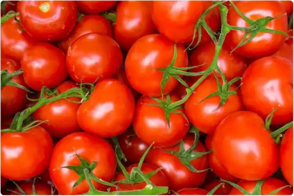 tomato storage benefits