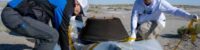 nasa receives samples of asteroid bennu for the first time