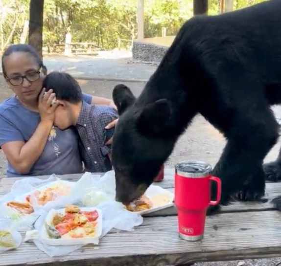 a hungry bear came within inches of a mother and child celebrating a birthday in a public park