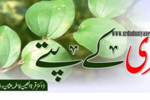 benefits berry leaves