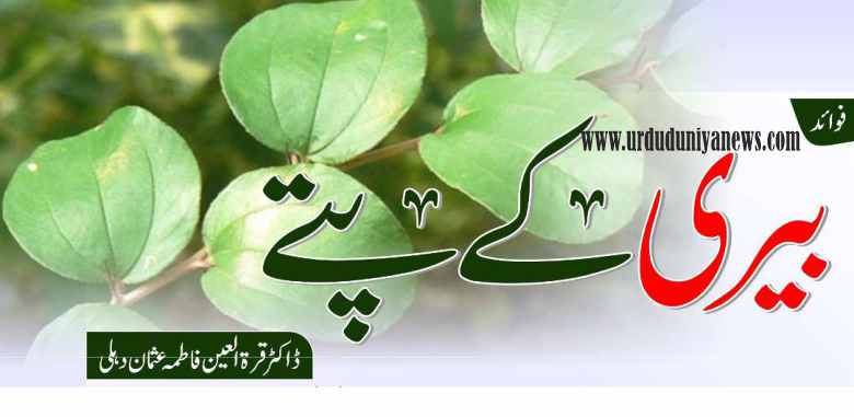 benefits berry leaves