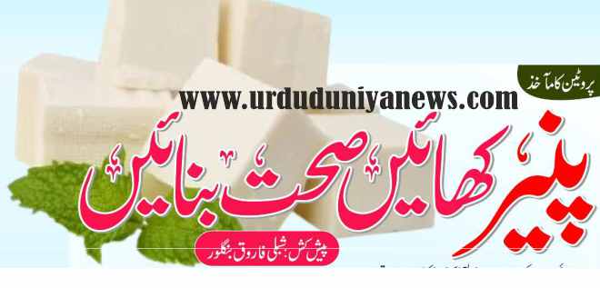 benefits of eating cheese