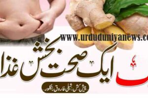 ginger is a healthy food