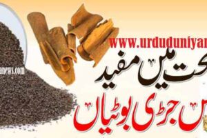most powerful herbs for health