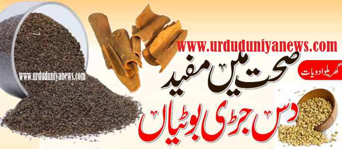 most powerful herbs for health