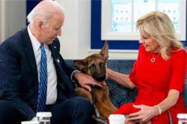 biden dog commander