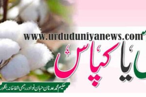 cotton plants