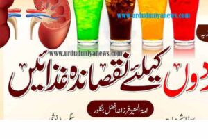 harmful foods for kidneys