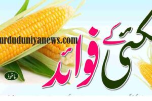 benefits of corn kernels corn